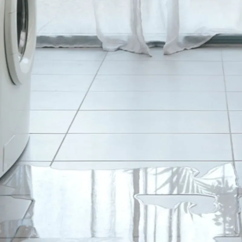 Appliance Leak Cleanup in Milam, TX