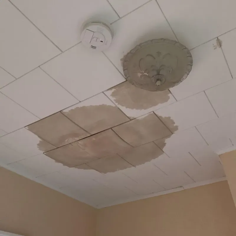 Ceiling Water Damage Repair in Milam, TX