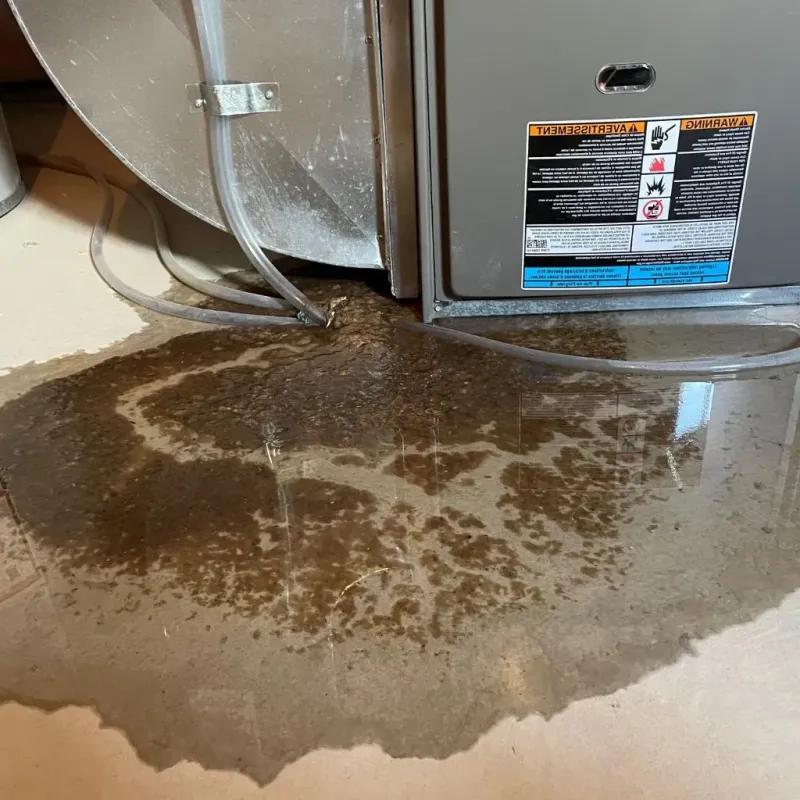 Pipe Burst and Leak Restoration in Milam, TX