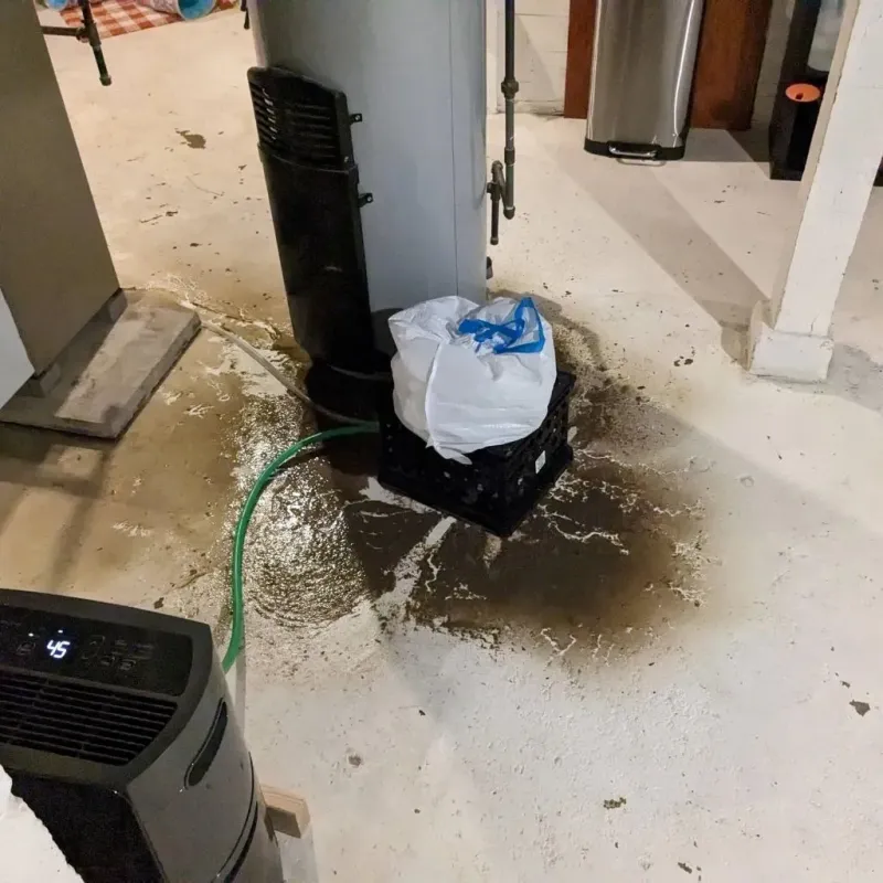 Sewage Backup Cleanup Service in Milam, TX